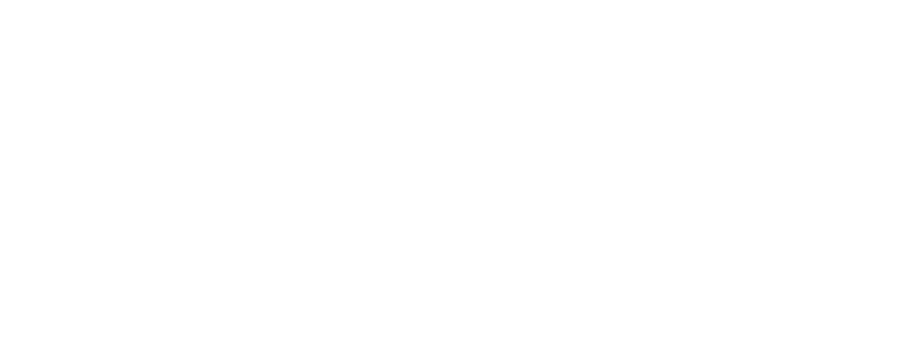 Zingales Records