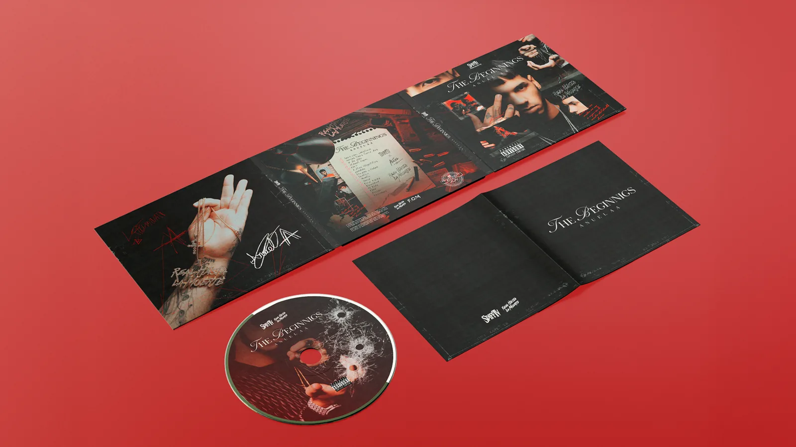 The Beginnings — gatefold del disco físico